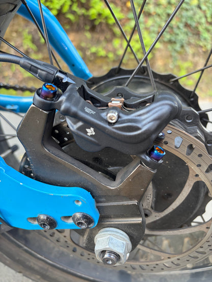 Brake Caliper Mounting Bolts – Fits Sur-Ron and others