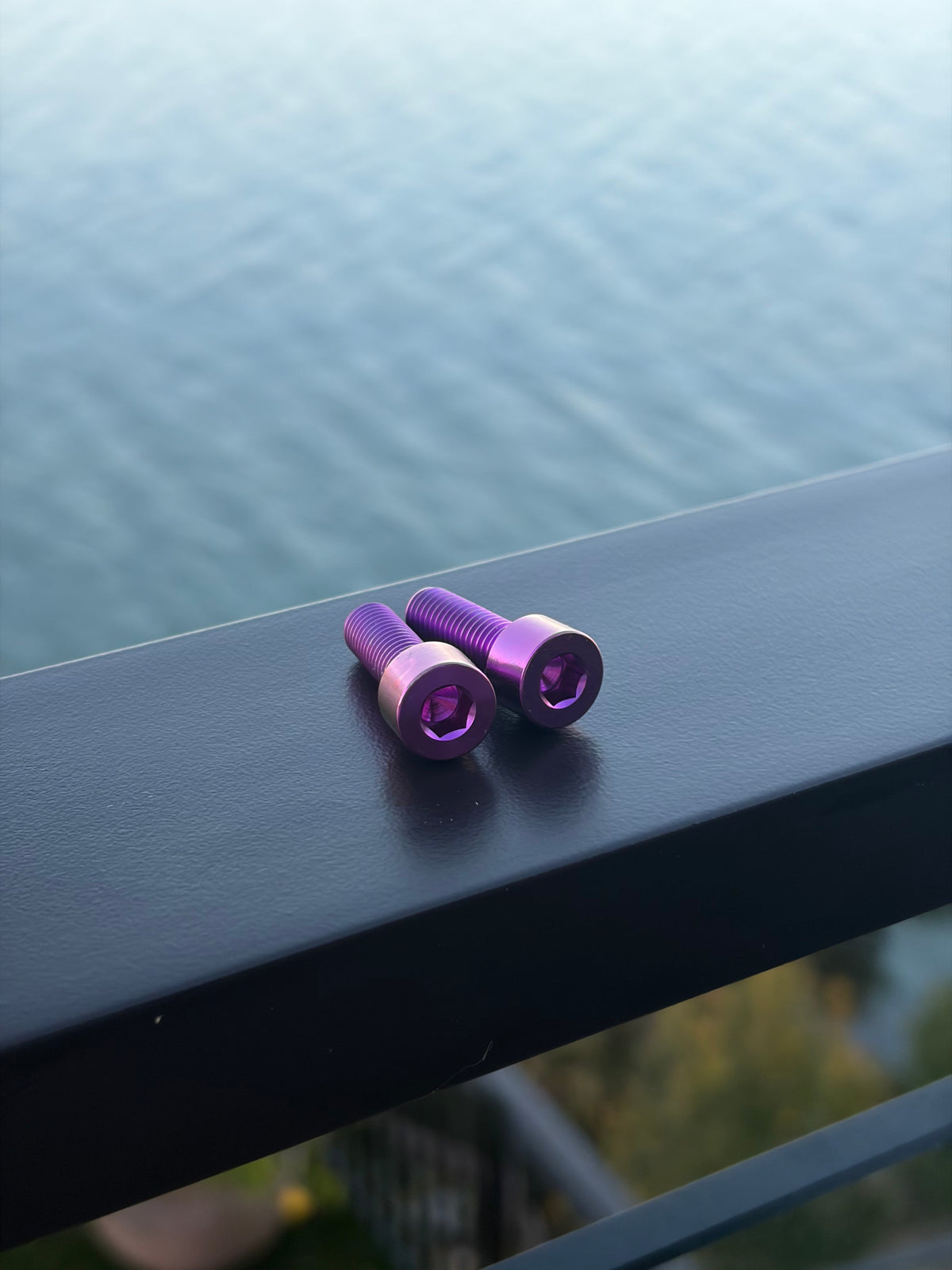 RTR Titanium Single Bolts