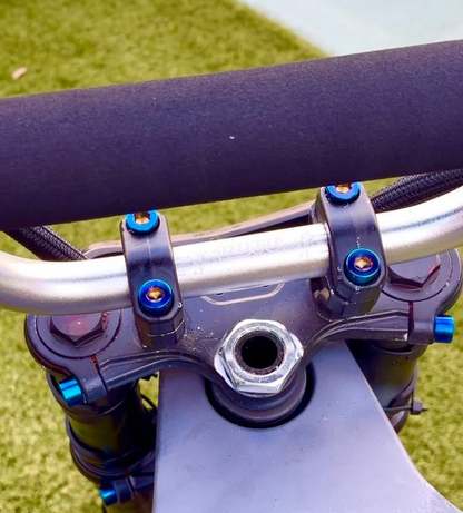 RTR Titanium Single Bolts